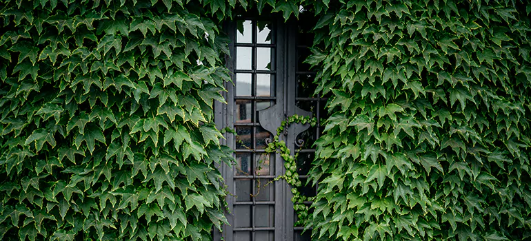 Garden Gate Repair in Daytona Beach, FL